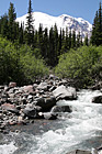 Mt. Rainier & River photo thumbnail