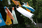 Rags on Clothes Line photo thumbnail