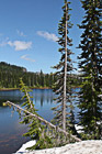 Reflection Lake, Trees & Snow photo thumbnail