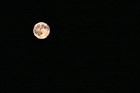 Full Moon at Night photo thumbnail