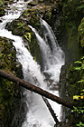 Sol Duc Falls photo thumbnail