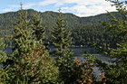 Trees & Mountains Around Lake Cresent photo thumbnail