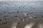 Small Rocks on Beach photo thumbnail