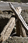 Drift Wood Stacked Up photo thumbnail