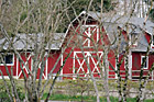 Barn Thourgh Tree Branches photo thumbnail