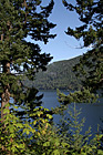 Lake Cresent and Trees photo thumbnail