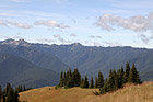 Olympic Mountain Hills & Field photo thumbnail