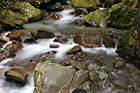 Ladder Creek & Rocks photo thumbnail