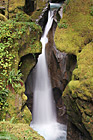 Ladder Creek Falls photo thumbnail