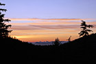 Sunset & Silhouette Trees photo thumbnail