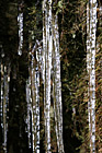 Icicles Close Up photo thumbnail