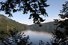 Lake Cresent & Tree Branch Silhouettes photo thumbnail