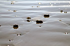 Rocks on Sand photo thumbnail