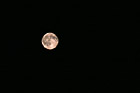 Full Moon photo thumbnail