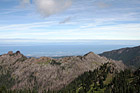 Olympic Peninsula photo thumbnail