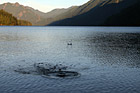 Rock Skipping in Lake photo thumbnail