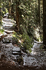 Switchback Hiking Trail photo thumbnail