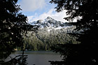 Snowy Mountains Through Tree Silhouettes photo thumbnail