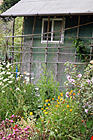 Old Shed and Flowers photo thumbnail