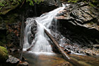 Waterfall, Rocks, & Logs photo thumbnail