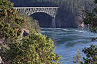 Deception Pass & Trees photo thumbnail