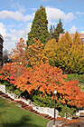 Scenic Colors of Fall photo thumbnail