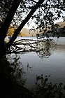 Trees & Silhouettes on Shore at Cresent Lake photo thumbnail