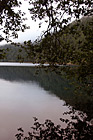 Hill Reflection & Tree Branches photo thumbnail