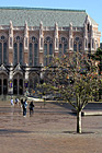 Suzzallo Library, Tree & Students photo thumbnail