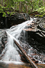 Waterfall & Log photo thumbnail