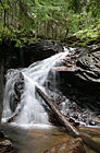 Waterfall, Green Trees, and Log photo thumbnail