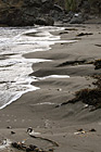 Beach Sand, Seaweed, & Water photo thumbnail