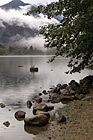 Rocks & Tree Along Diablo Lake photo thumbnail