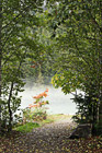 Trail Leading to Fog photo thumbnail