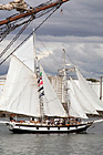 Tall Ship in Puget Sound photo thumbnail