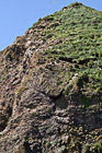 Haystack Rock up Close photo thumbnail