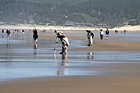 Photographers on Beach photo thumbnail