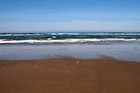 Tennis Ball on Ocean Beach photo thumbnail