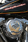 Harley Davidson Live to Ride photo thumbnail