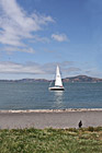White Sailboat & Bird on Shore photo thumbnail