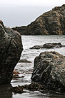 Rocks & Seaweed on Shore photo thumbnail