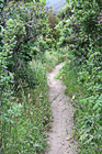 Hiking Trail Along Beach photo thumbnail