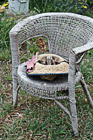 Hat & Gloves on Chair photo thumbnail