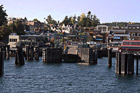 Friday Harbor Shore photo thumbnail