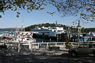 Friday Harbor Ferry Docking photo thumbnail