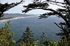 Oregon Coast Through Trees photo thumbnail
