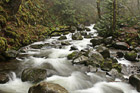 Multnomah Creek Streaming photo thumbnail