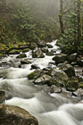Multnomah Creek photo thumbnail