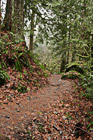 Nature Trail photo thumbnail