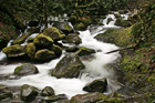 Multnomah Creek & Rocks photo thumbnail